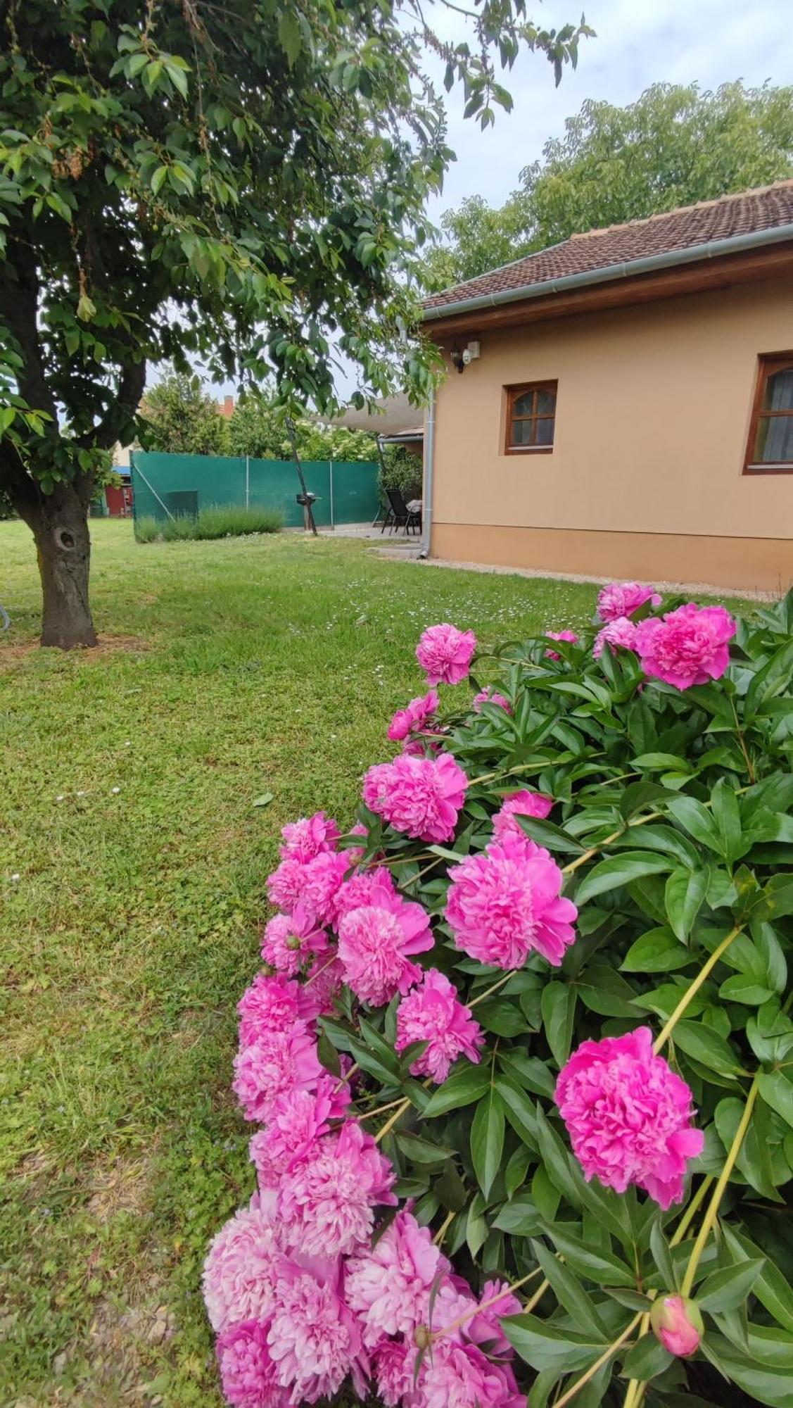 Limonádé Apartman Gárdony Exteriér fotografie